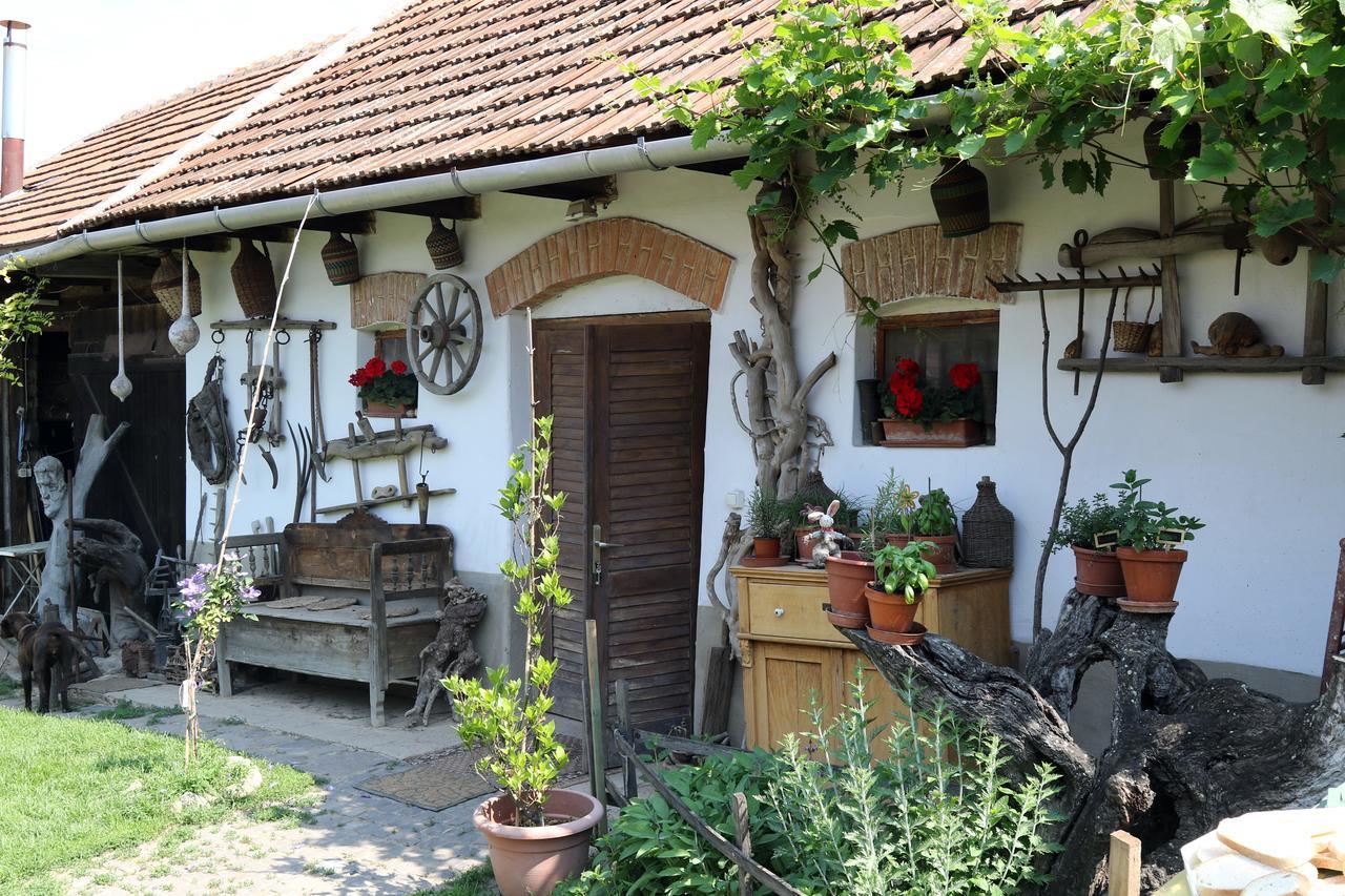 Pataky Borporta Bed and Breakfast Tarcal Buitenkant foto