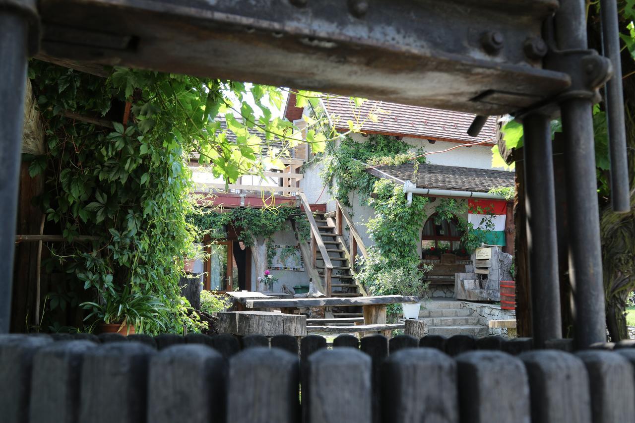 Pataky Borporta Bed and Breakfast Tarcal Buitenkant foto