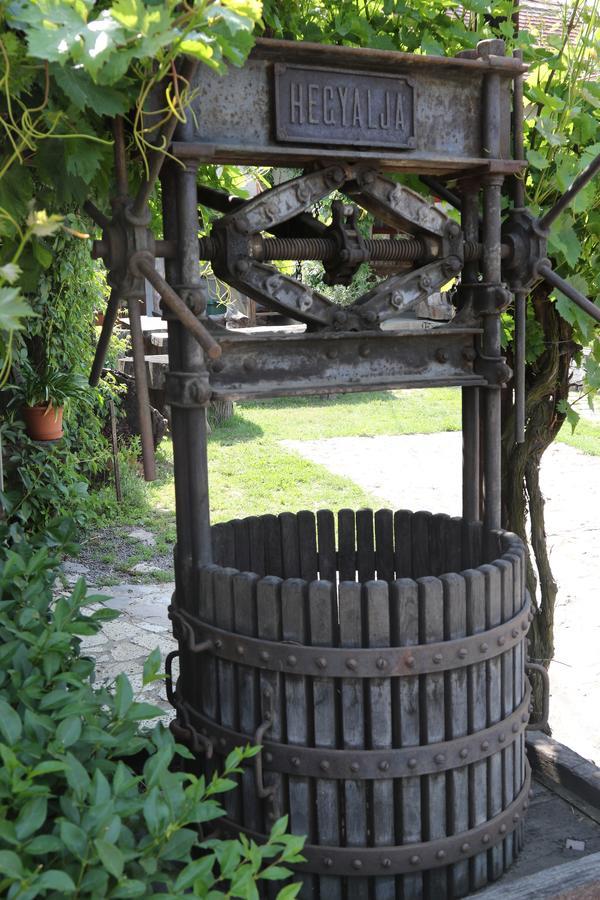 Pataky Borporta Bed and Breakfast Tarcal Buitenkant foto