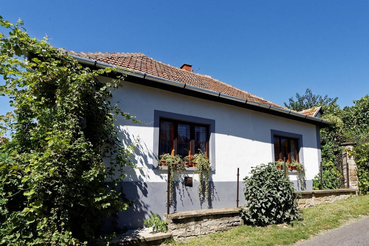 Pataky Borporta Bed and Breakfast Tarcal Buitenkant foto