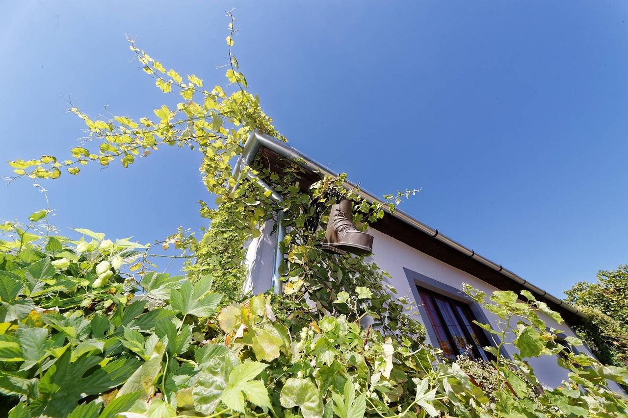 Pataky Borporta Bed and Breakfast Tarcal Buitenkant foto